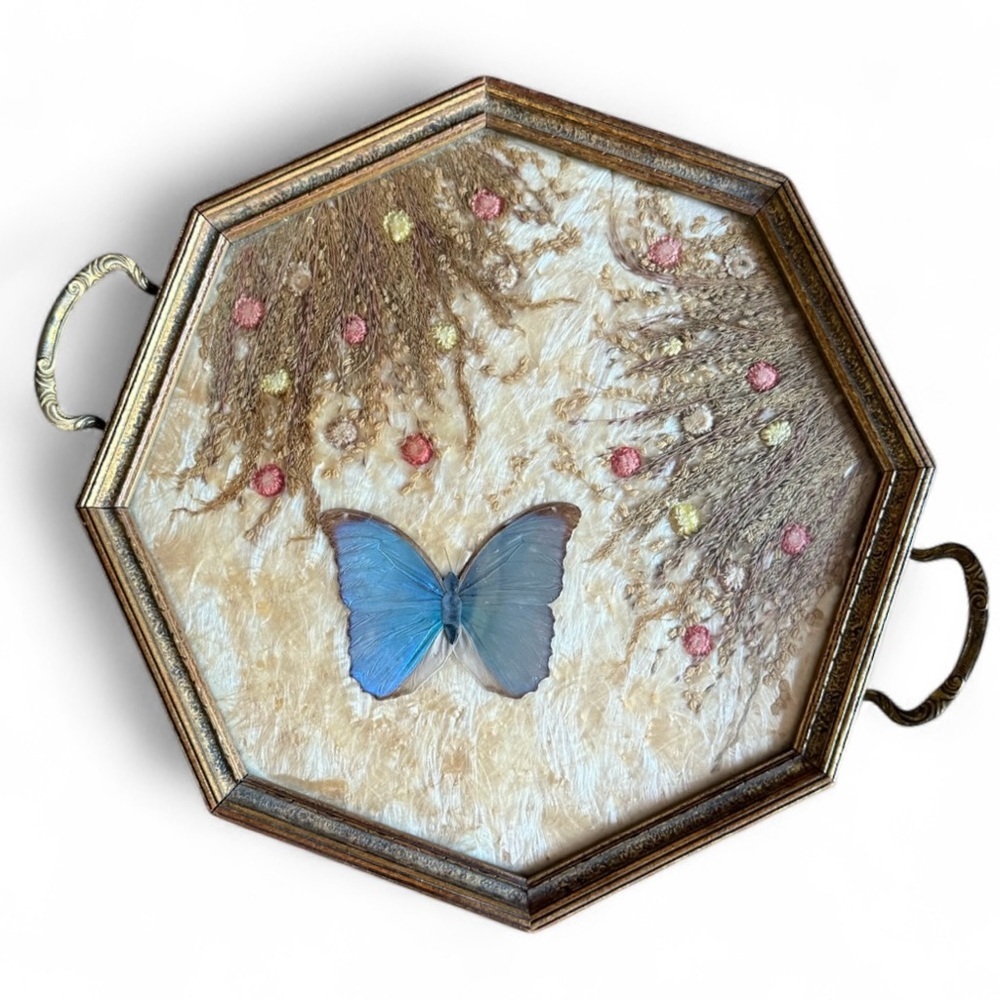 MCM Art Deco Tray Real Purple Morpho Butterfly & Dried Flowers Under Glass 1940s